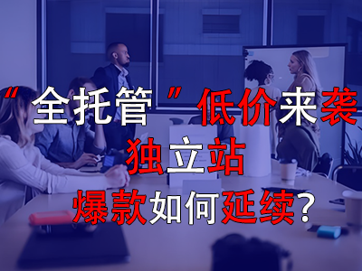 全托管低價來襲，獨立站爆款如何延續(xù)？