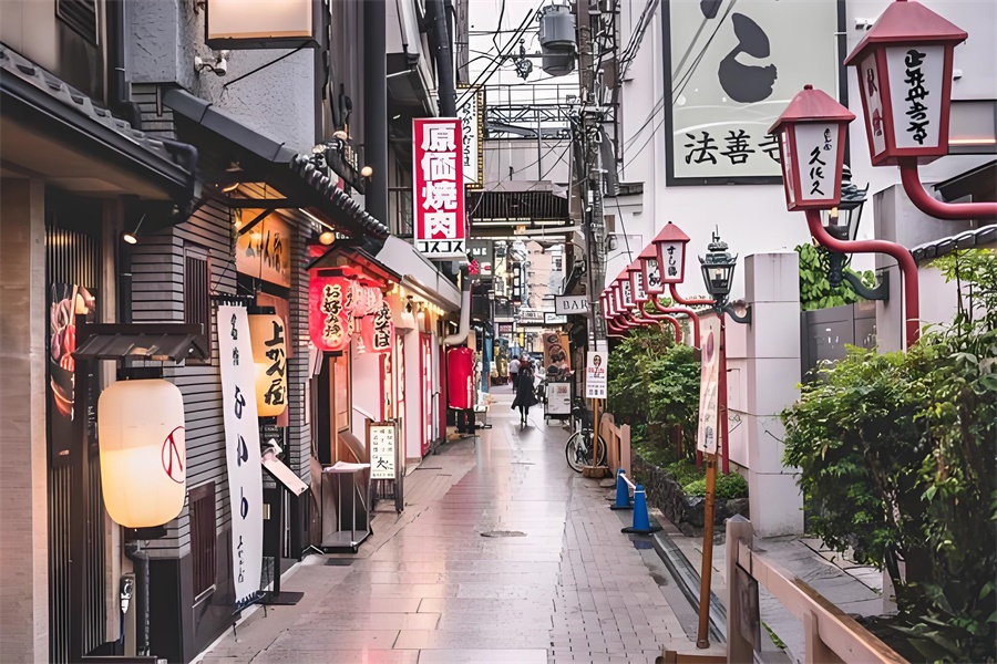 日本跨境電商平臺市場廣闊